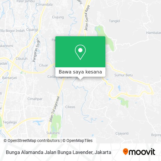 Peta Bunga Alamanda Jalan Bunga Lavender