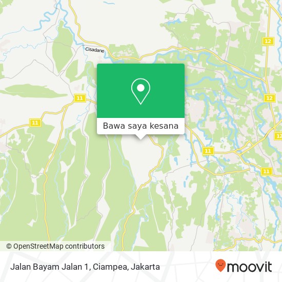 Peta Jalan Bayam Jalan 1, Ciampea