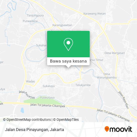 Peta Jalan Desa Pinayungan