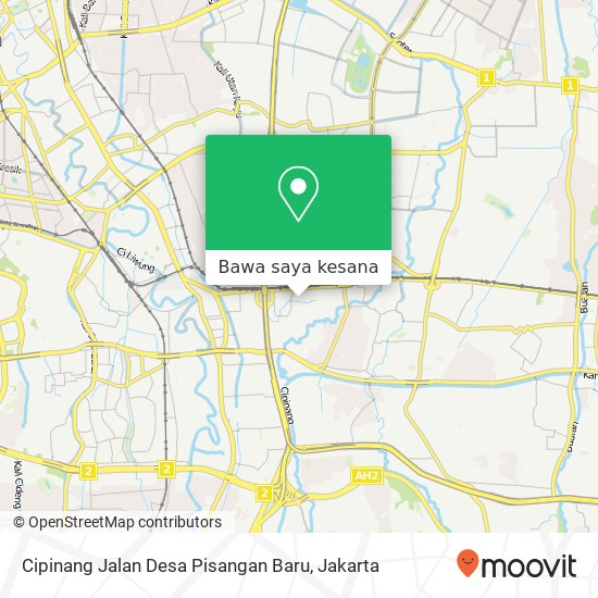 Peta Cipinang Jalan Desa Pisangan Baru