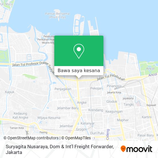 Peta Suryagita Nusaraya, Dom & Int'l Freight Forwarder