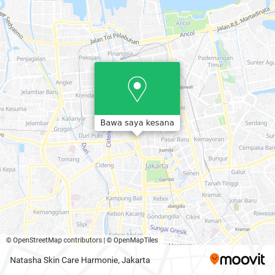 Peta Natasha Skin Care Harmonie