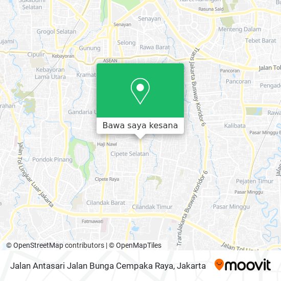 Peta Jalan Antasari Jalan Bunga Cempaka Raya