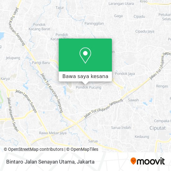 Peta Bintaro Jalan Senayan Utama