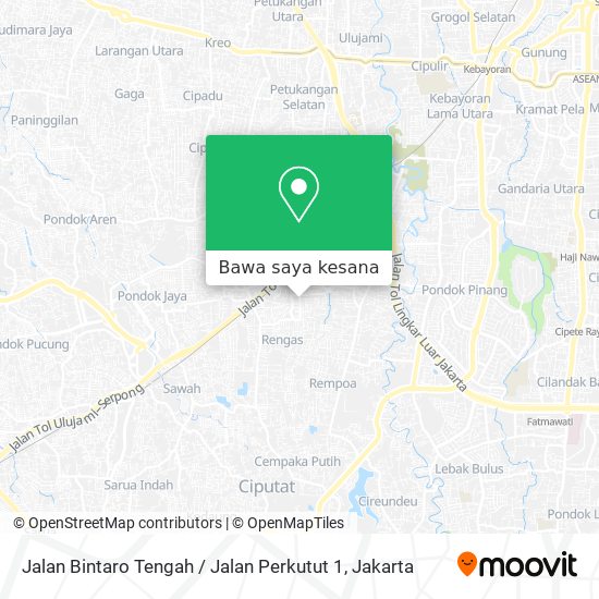 Peta Jalan Bintaro Tengah / Jalan Perkutut 1