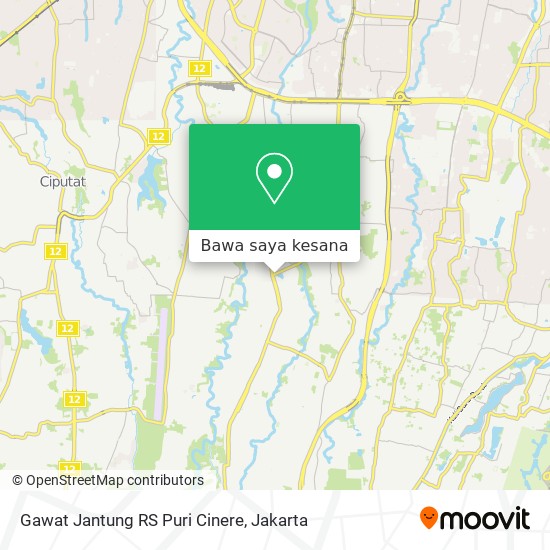 Peta Gawat Jantung RS Puri Cinere