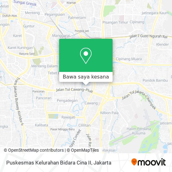 Peta Puskesmas Kelurahan Bidara Cina II