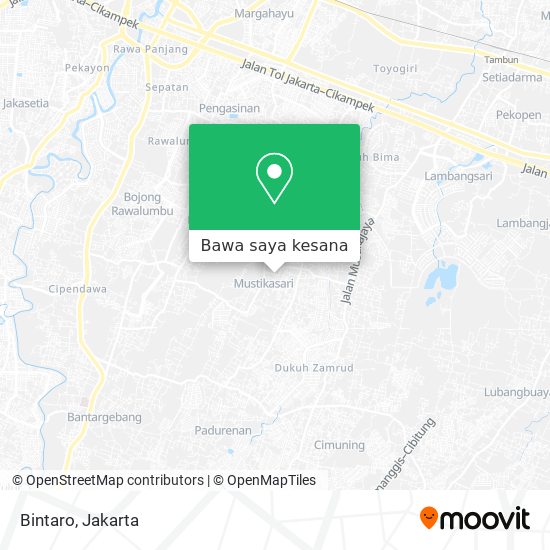 Peta Bintaro