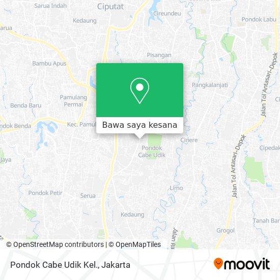 Peta Pondok Cabe Udik Kel.