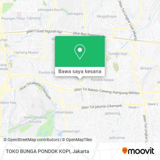 Peta TOKO BUNGA PONDOK KOPI