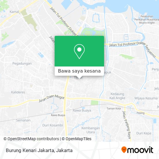 Peta Burung Kenari Jakarta