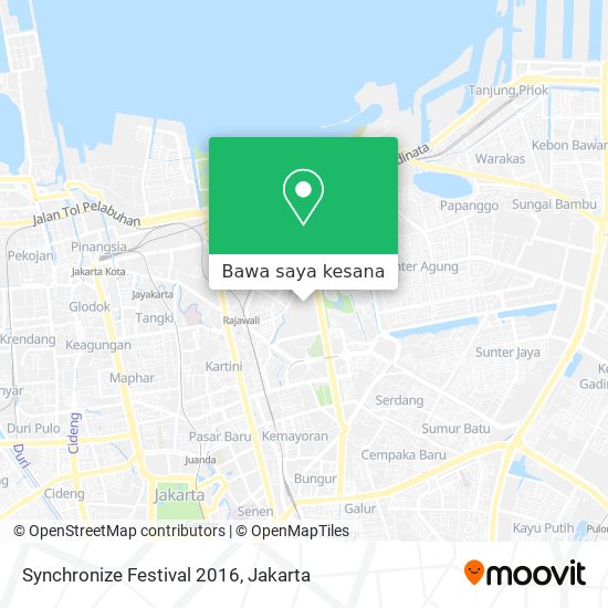 Peta Synchronize Festival 2016