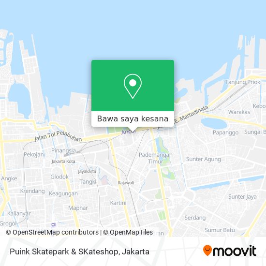 Peta Puink Skatepark & SKateshop