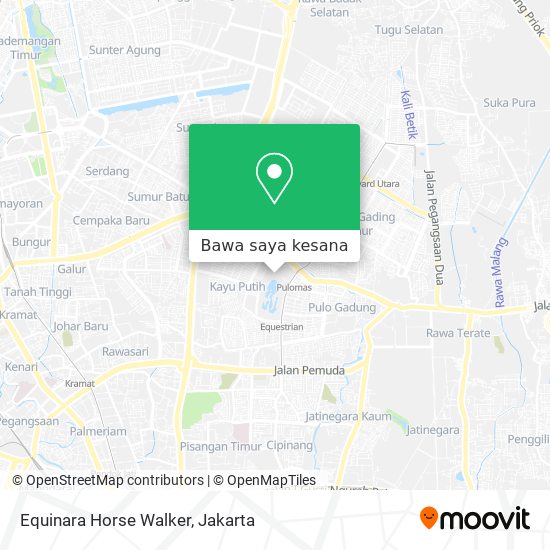 Peta Equinara Horse Walker