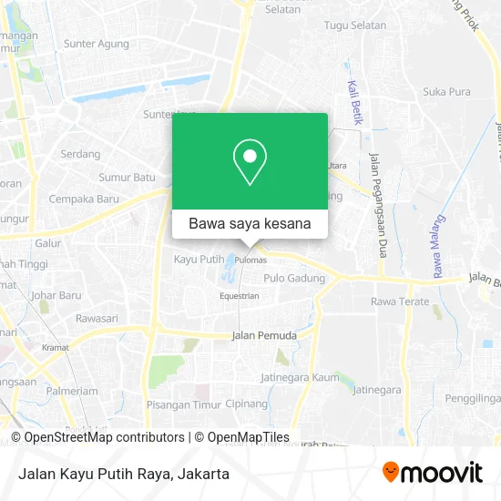 Peta Jalan Kayu Putih Raya