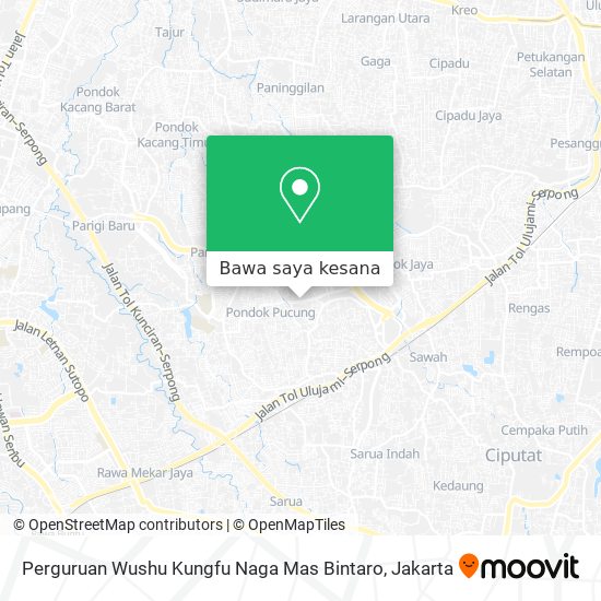 Peta Perguruan Wushu Kungfu Naga Mas Bintaro