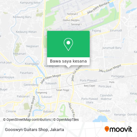 Peta Gooswyn Guitars Shop