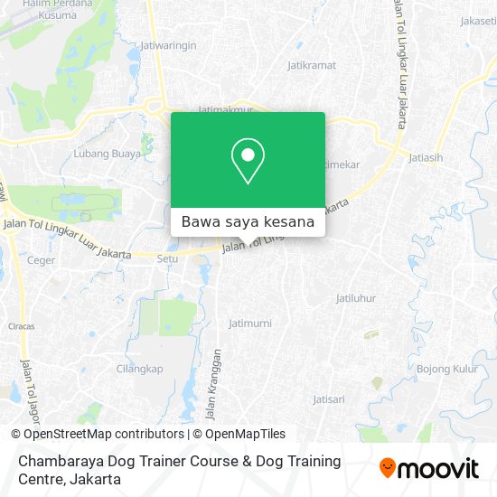 Peta Chambaraya Dog Trainer Course & Dog Training Centre