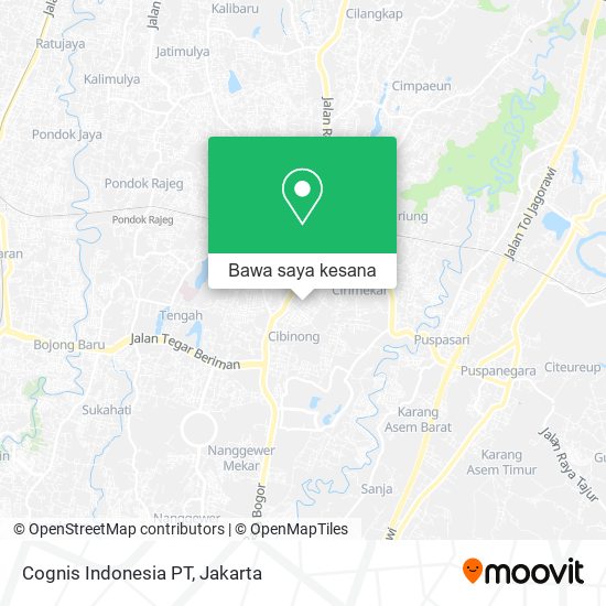 Peta Cognis Indonesia PT