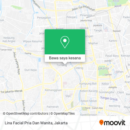 Peta Lina Facial Pria Dan Wanita