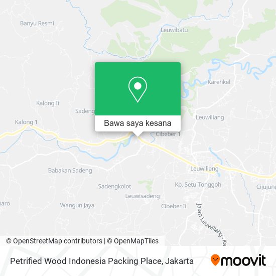 Peta Petrified Wood Indonesia Packing Place