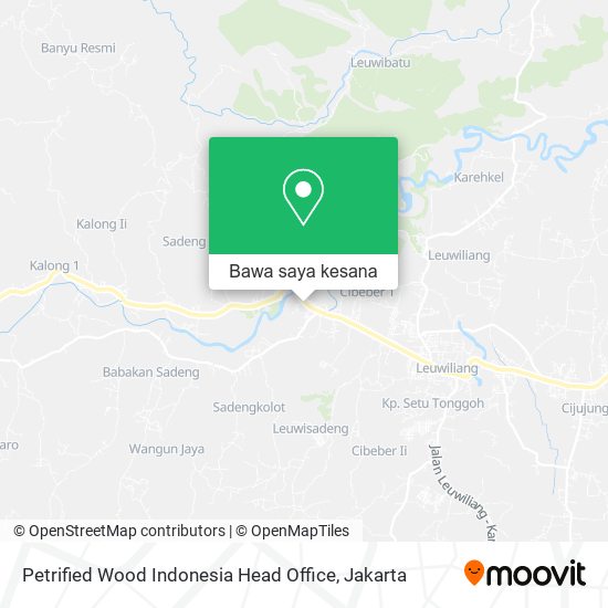 Peta Petrified Wood Indonesia Head Office