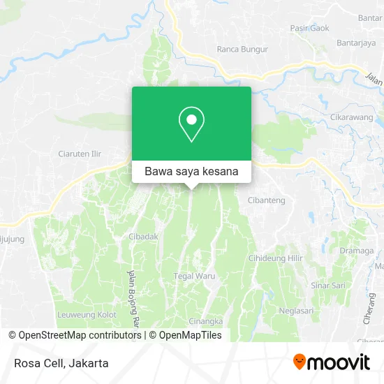 Peta Rosa Cell