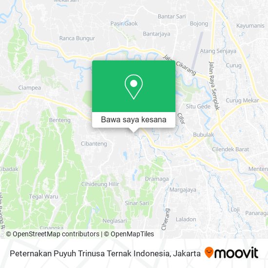 Peta Peternakan Puyuh Trinusa Ternak Indonesia