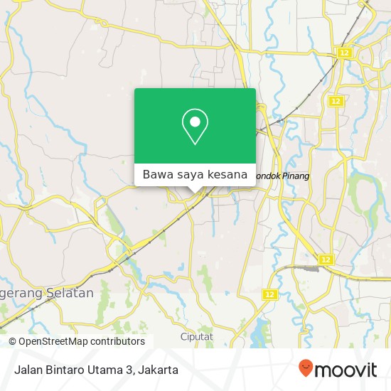 Peta Jalan Bintaro Utama 3