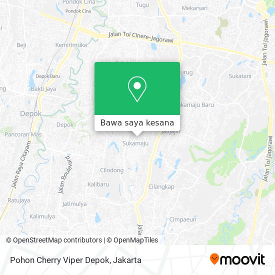 Peta Pohon Cherry Viper Depok