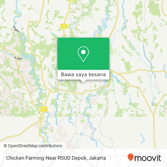 Peta Chicken Farming Near RSUD Depok