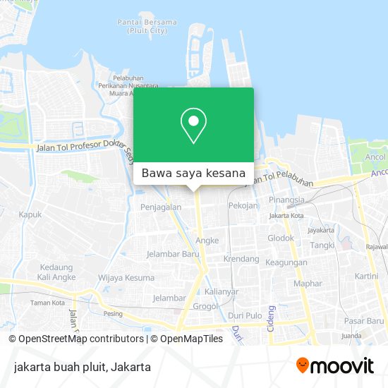 Peta jakarta buah pluit