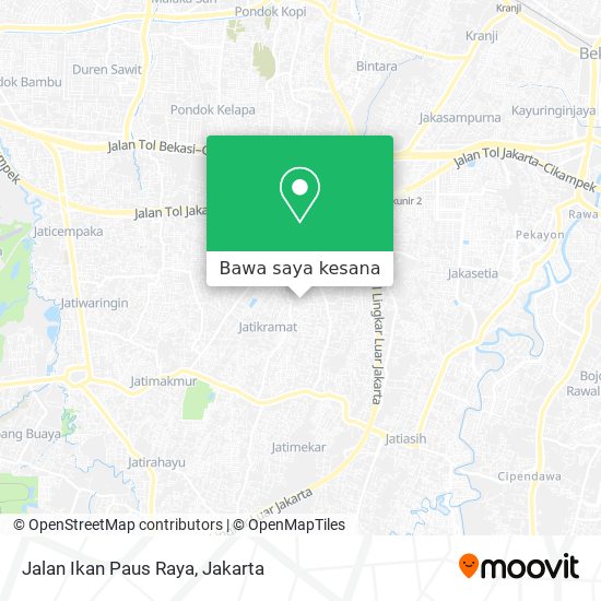 Peta Jalan Ikan Paus Raya