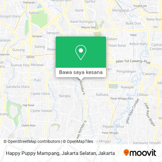 Harga happy 2024 puppy kemang