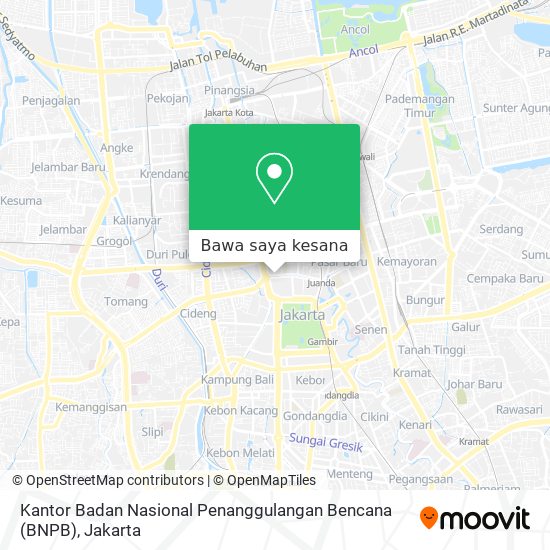 Peta Kantor Badan Nasional Penanggulangan Bencana (BNPB)