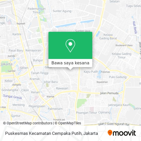 Peta Puskesmas Kecamatan Cempaka Putih