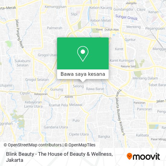 Peta Blink Beauty - The House of Beauty & Wellness