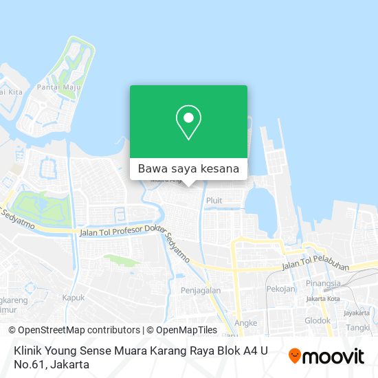 Peta Klinik Young Sense Muara Karang Raya Blok A4 U No.61