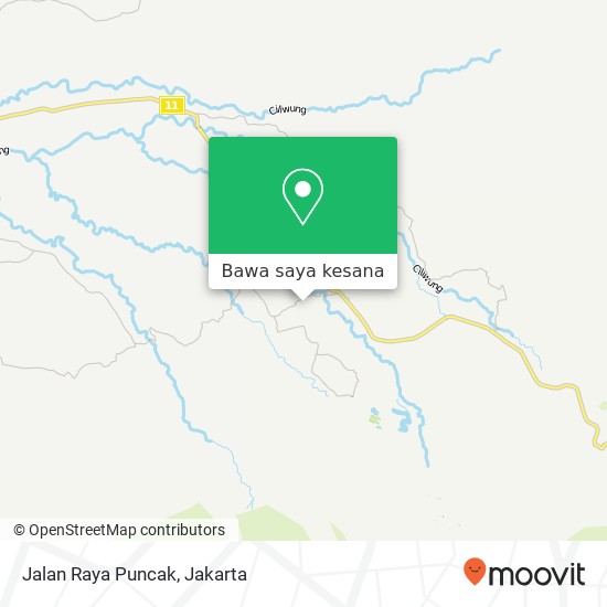 Peta Jalan Raya Puncak