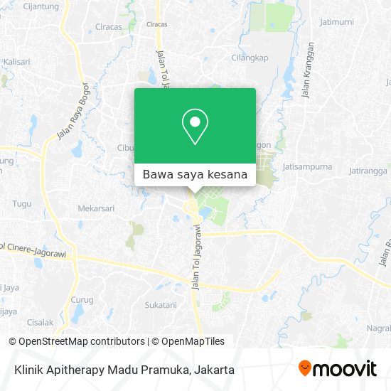 Peta Klinik Apitherapy Madu Pramuka
