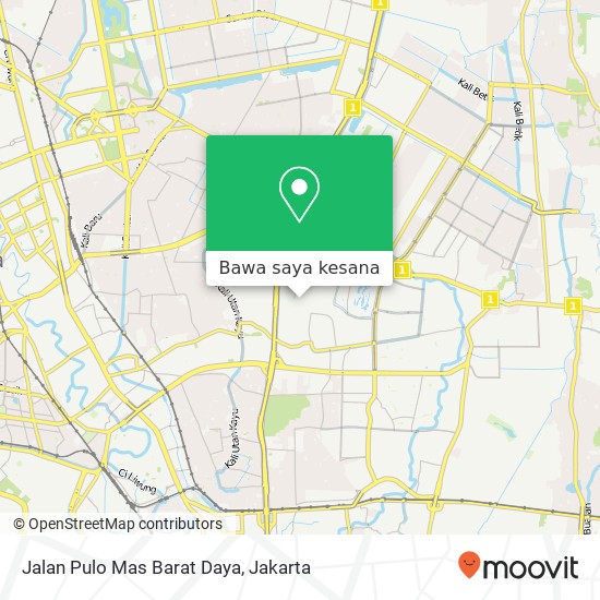 Peta Jalan Pulo Mas Barat Daya