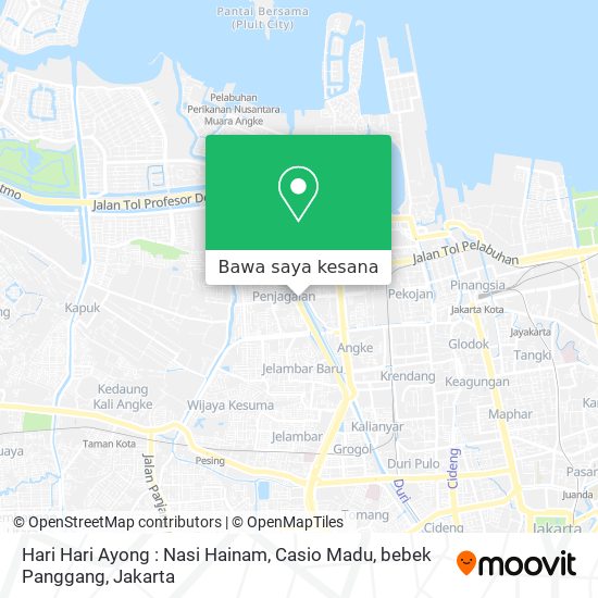 Peta Hari Hari Ayong : Nasi Hainam, Casio Madu, bebek Panggang