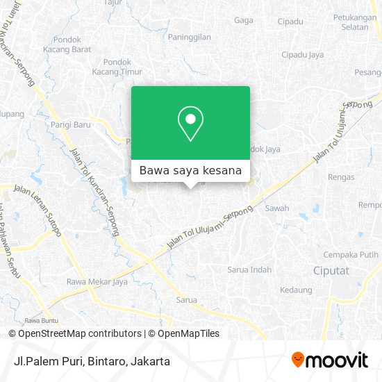 Peta Jl.Palem Puri, Bintaro