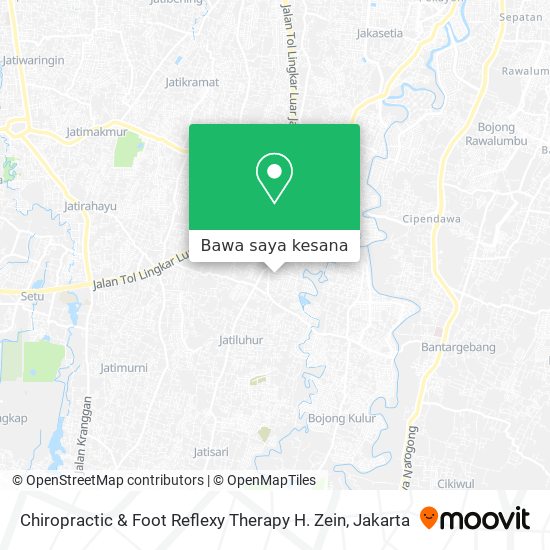 Peta Chiropractic & Foot Reflexy Therapy H. Zein