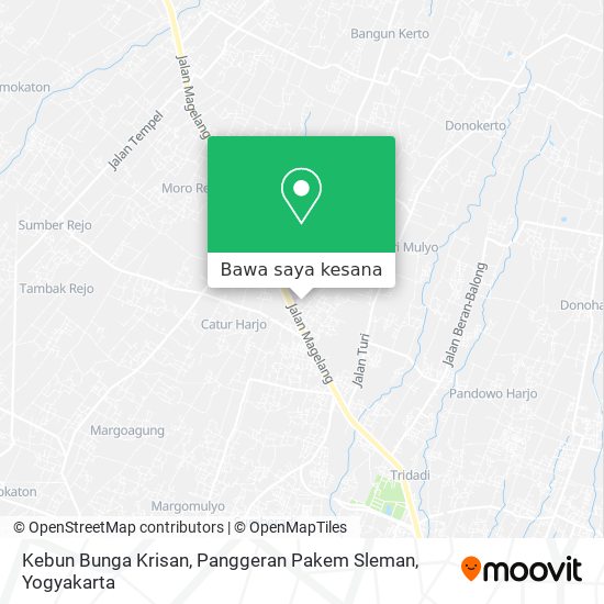 Peta Kebun Bunga Krisan, Panggeran Pakem Sleman