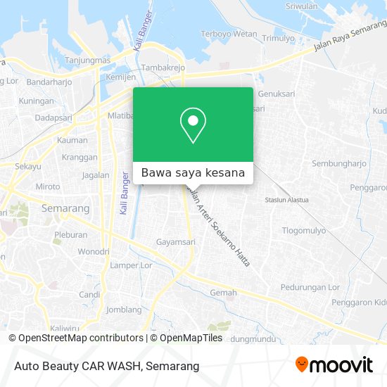 Peta Auto Beauty CAR WASH