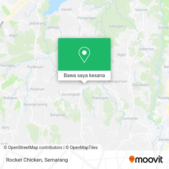 Peta Rocket Chicken