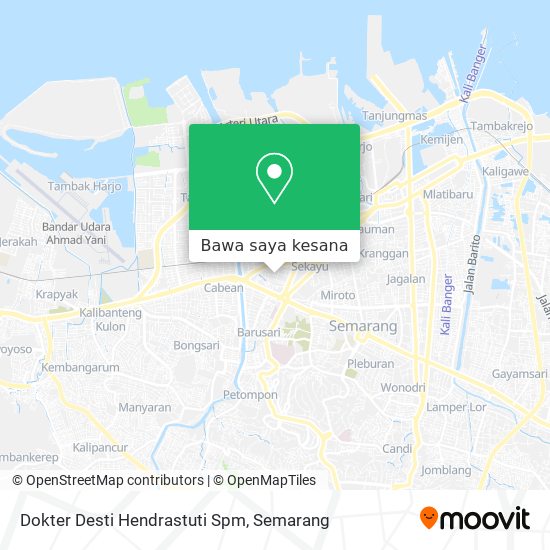 Peta Dokter Desti Hendrastuti Spm