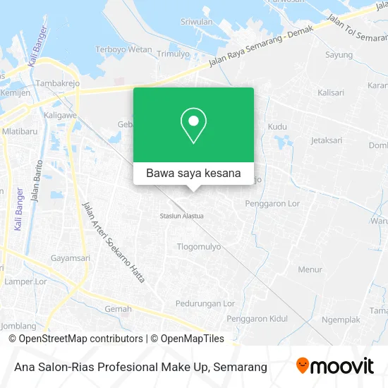 Peta Ana Salon-Rias Profesional Make Up