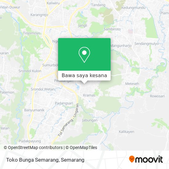 Peta Toko Bunga Semarang